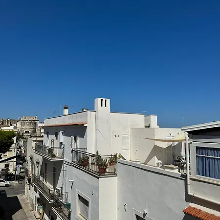 Soldano 3*
